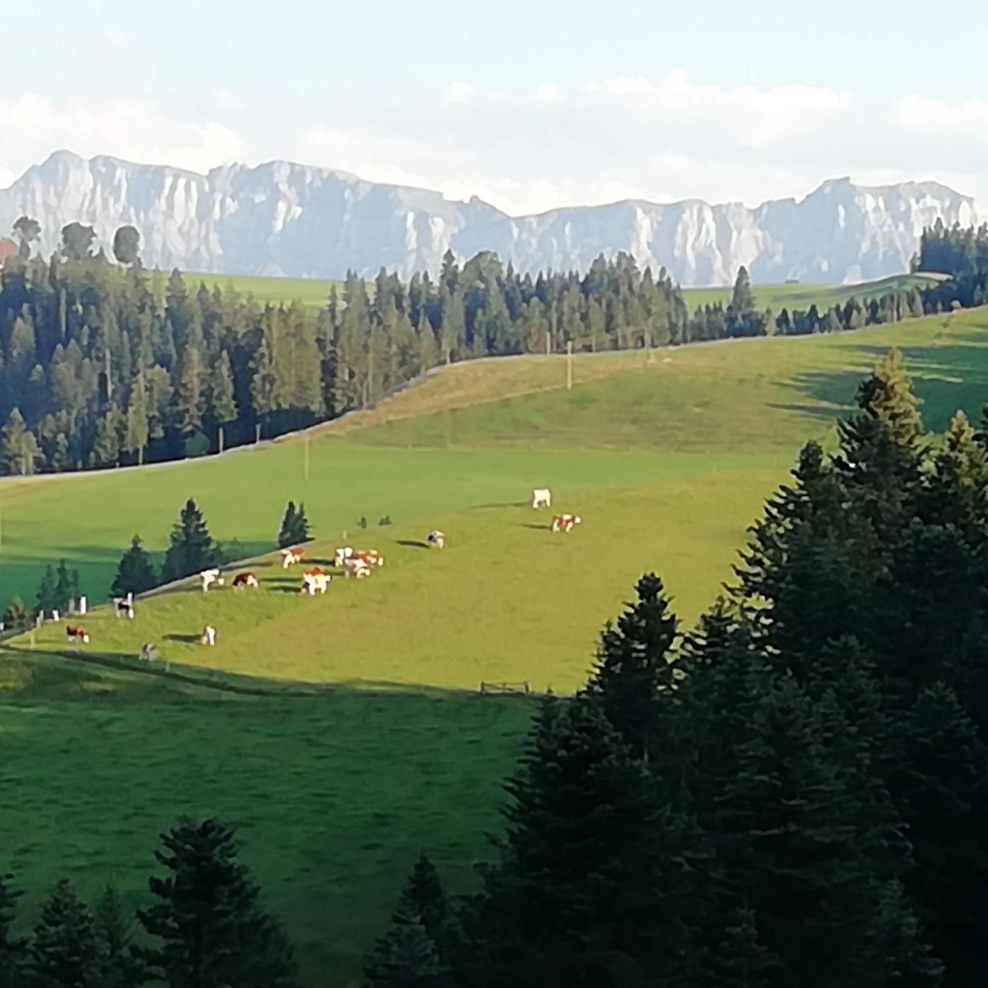 朗瑙Emmental Ferien公寓 外观 照片